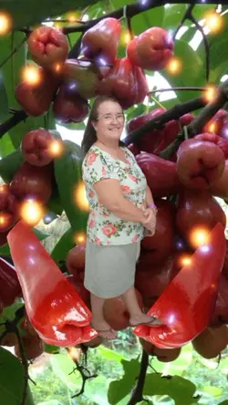 fruta