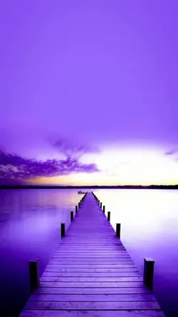 Roxo 