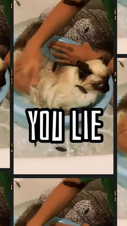 Love the way you lie