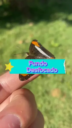 Desfoque o fundo 