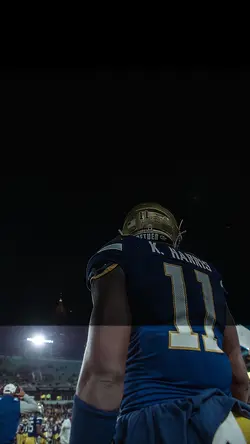 Half Natty Filter