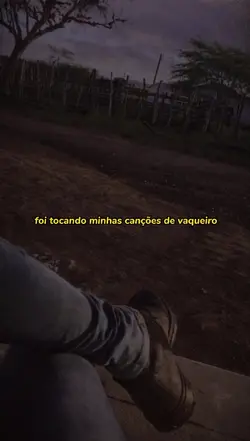 status vaquejada 