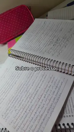 sobre o processo 