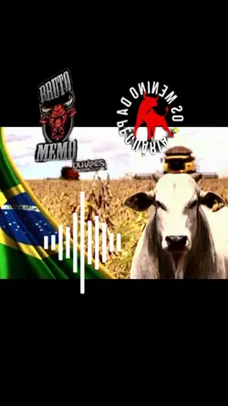tipografia agro 