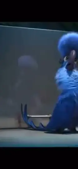 Rio meme