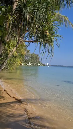 Modern Society