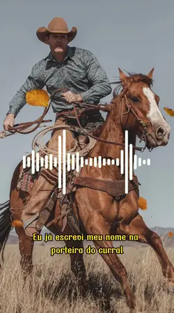 Status Music 