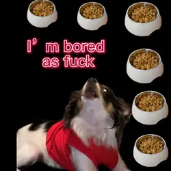 I’m bored as fuck 
