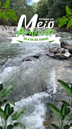 Meio Ambiente