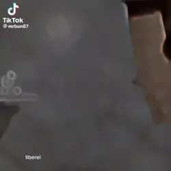gato de botas2