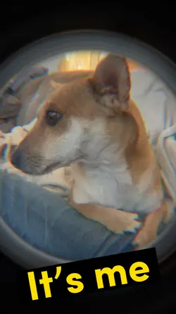 Open the door