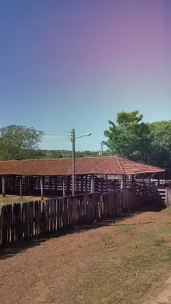 Farm 