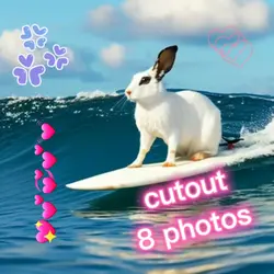 cutouts