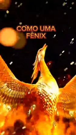 Foto /FÊNIX 