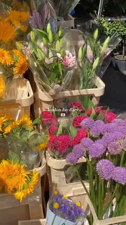 london day diary