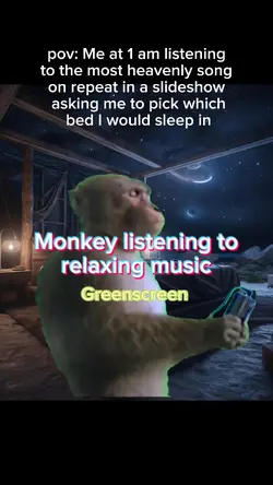 Monkey music vibe