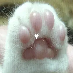 <>