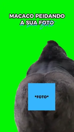macaco