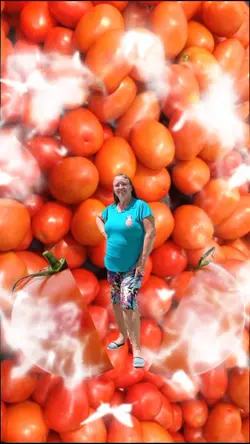 tomate