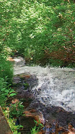 Nature