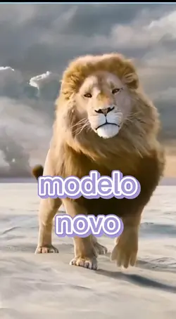 modelo novo 
