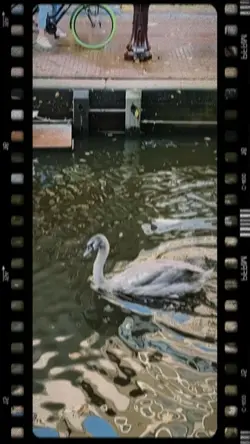 Retro Movie Template