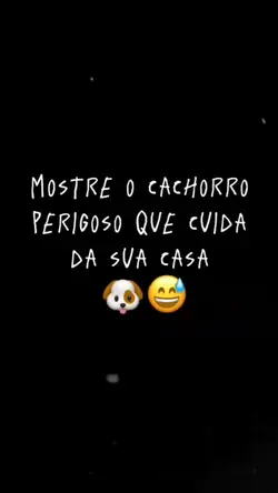 trend cachorro