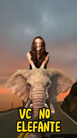 Vc no elefante