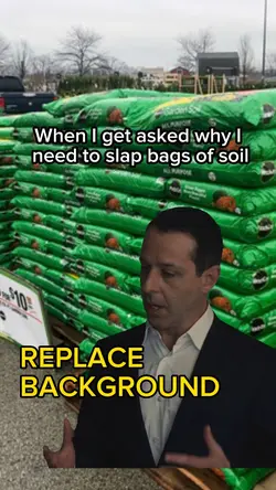 Succession HBO meme