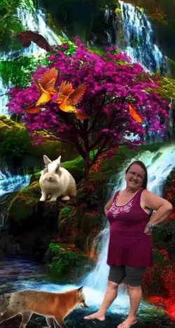 fundo engraçado