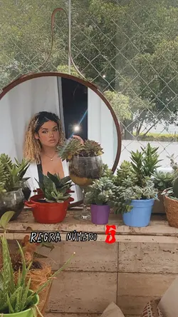 Regra número 5