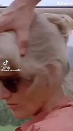olha que lindo 