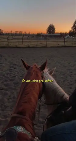 Chorei na Vaquejada