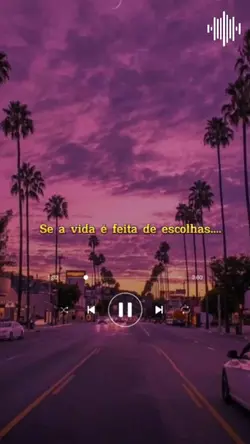 eu te escolhi