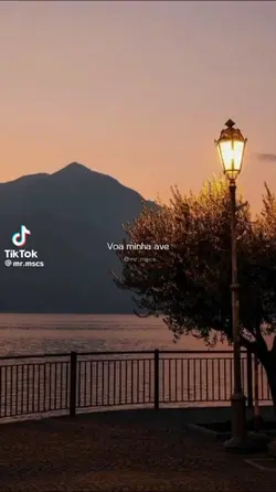 música 