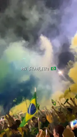 SOU BRASILEIRO 🇧🇷