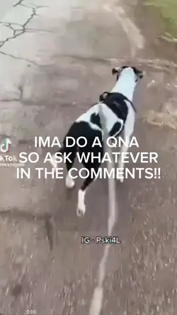 QNA