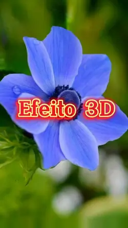 Efeito 3D