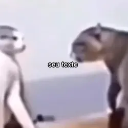 usem pls 