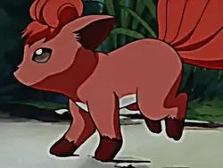 Vulpix e ninetails