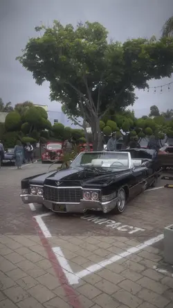 Cars 😍