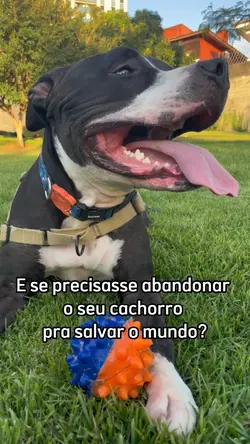 Troco 🌎 por 🐶 