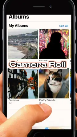 Camera Roll 📷