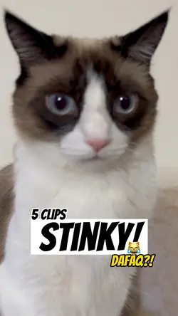 Stinky!!