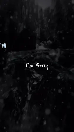 I'm Sorry