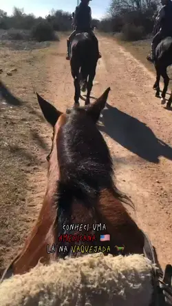 Forró dAmericana 🇺🇸👯‍♀️🎶