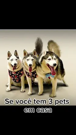 Se você tem....