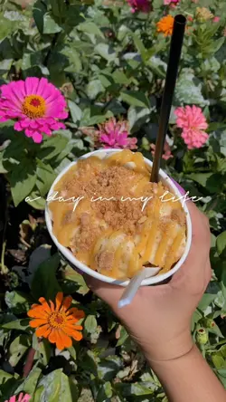 Vlog 