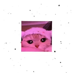 soft