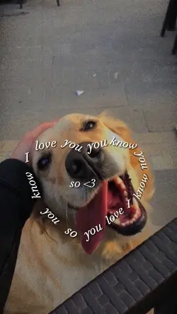 Pet 💛